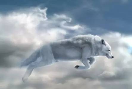 狐狸精平常表示什么,狐狸精是夸人还是骂人的