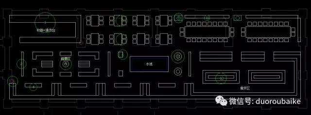 多肉为什么比较坑,多肉基础知识详解