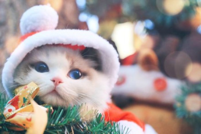 肌肤零负担的防晒,肌肤零负担乳液