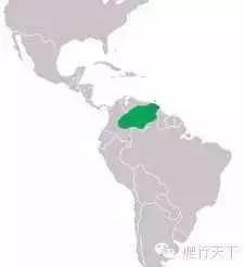 奥里诺科鳄有多漂亮,奥里诺科鳄最大多大