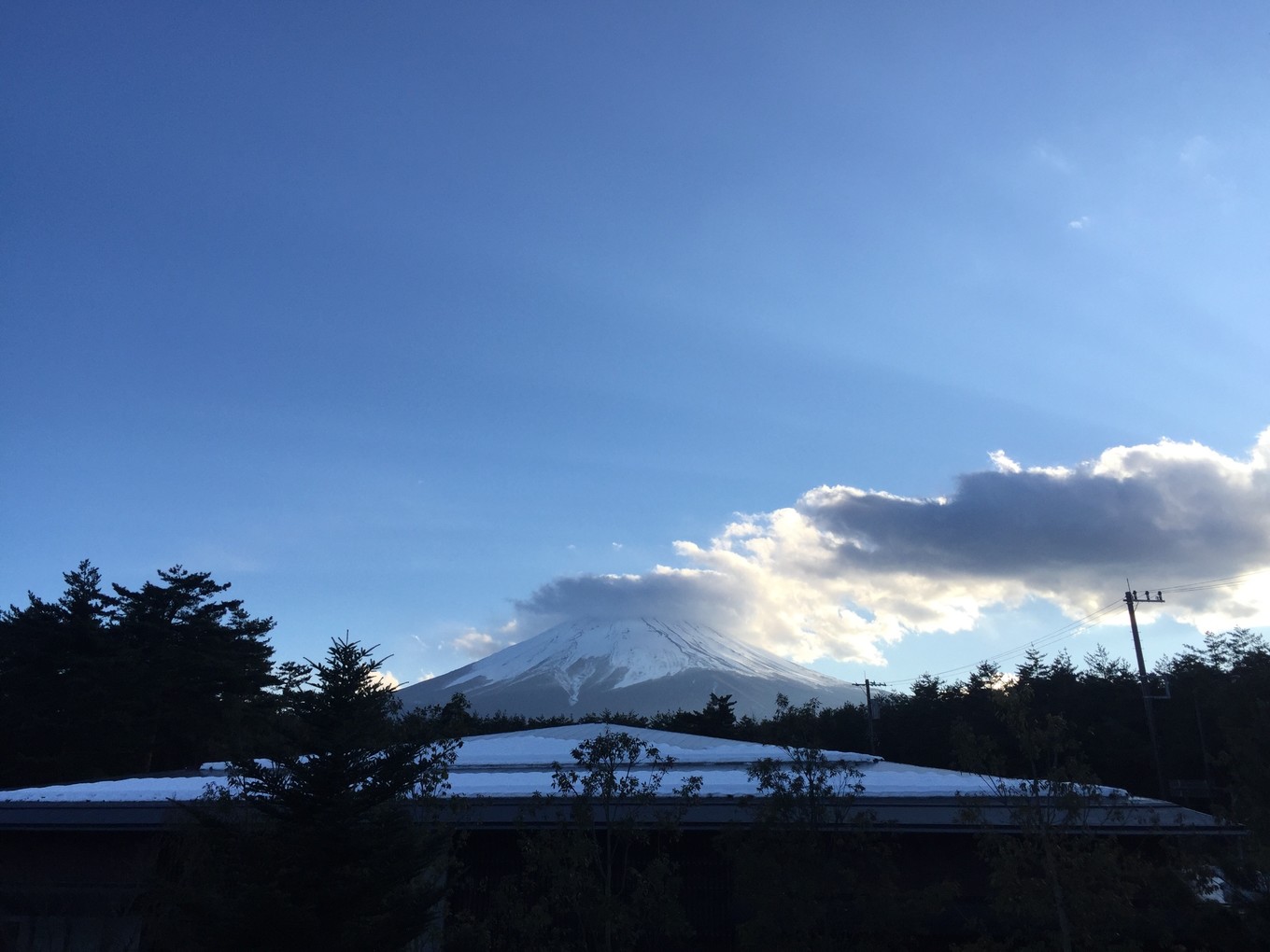 迷失在岛国——东京、京都、大阪7天经典游