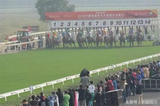 走！明天去成都温江看世界顶级赛马（内附观赛攻略）