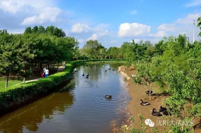 沈阳周边有什么踏青的好地方,沈阳野餐露营的好地方