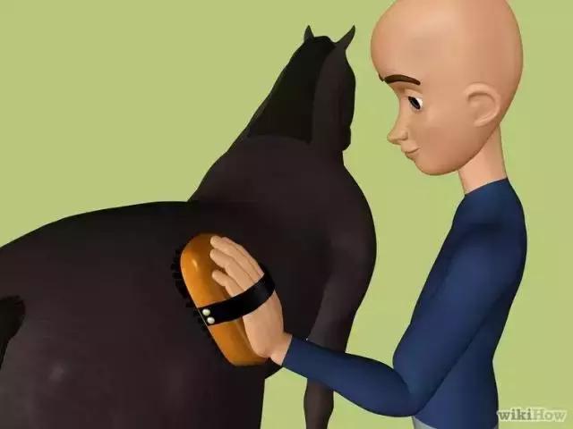 如何学习骑马奔跑,怎么样才能学会骑马