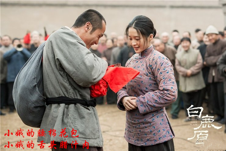 白鹿原田小娥和小娥结局,张嘉译田小娥