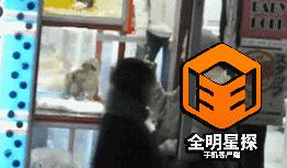 厉害了！鹿晗与神秘地陪同游东京3小时，还惹出了大动静！