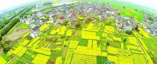 震惊！常州这些地方竟然这么黄！