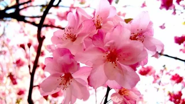 所有昆明人,一大波好消息,你们的好日子终于要来了!