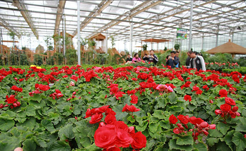 撸起袖子加油干谱写致富新篇章,撸起袖子加油干甩开膀子奔小康