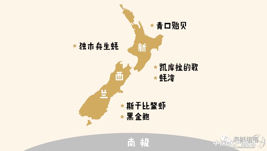 新西兰青口贝哪个好吃,鲍鱼扇贝生蚝哪个最好吃