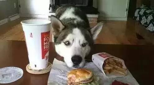 原谅我这一生不羁放纵完整版,原谅我这一生不羁放纵群星版