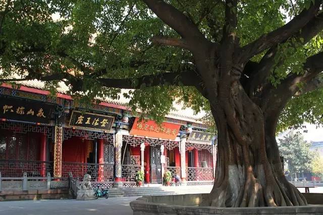 清明3天旅游攻略成都,清明成都旅游攻略学生党