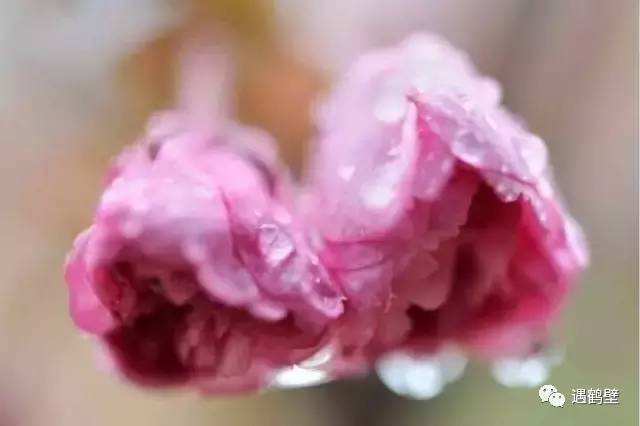 寻找紧急扩散人员名单,紧急寻找紧急扩散