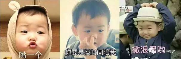 以营利为目的表情包可以侵权吗,为娱乐而生