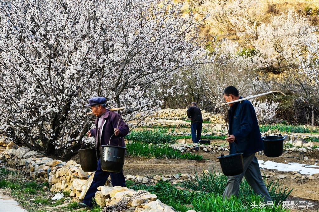 濞佹捣涔冲北妯辨,灞变笢涔冲北妯辨