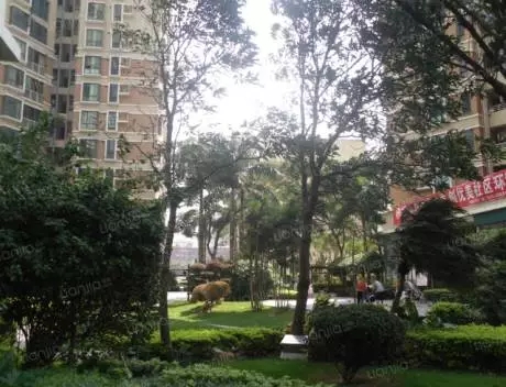 王石最大的别墅,王石深圳别墅