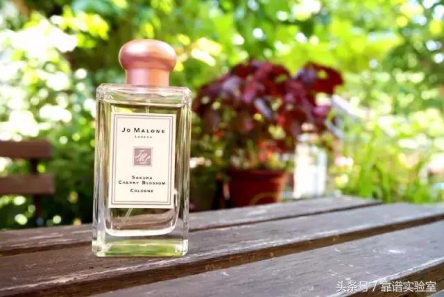 初春赏花目的地推荐之樱花烂漫篇,鸡鸣寺的樱花开了春日赏花好去处