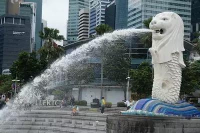 新加坡哪里买小ck最便宜,ck轻奢爆款