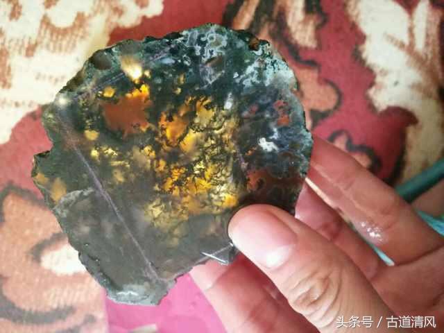 什么样的水草不需要光,水草玛瑙的保养