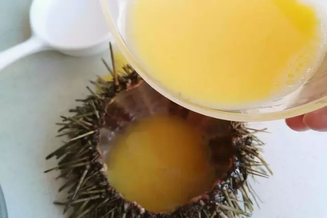 海胆营养丰富,海胆营养辅食有哪些做法