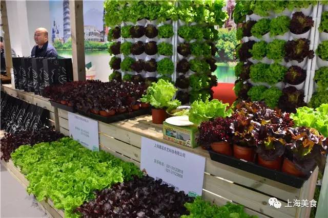 带你不出门吃遍世界美食,大世界美食攻略