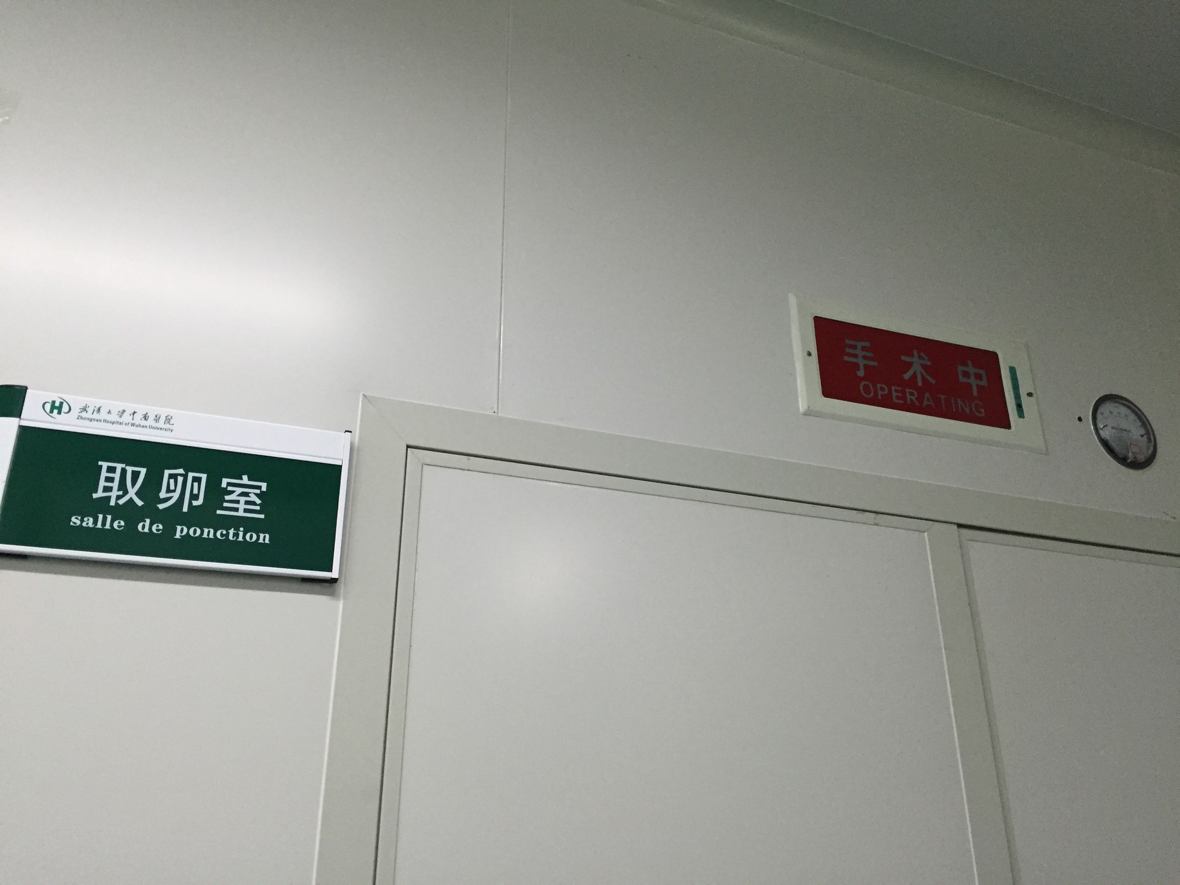 单身女性冻卵事件,年轻女性冻卵