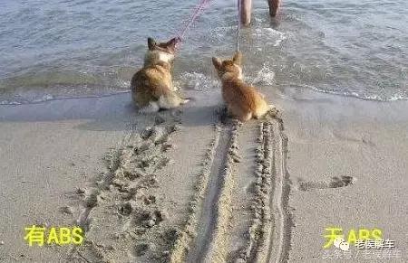 汽车abs防抱死系统的作用是什么,汽车abs为什么会让刹车刹不动