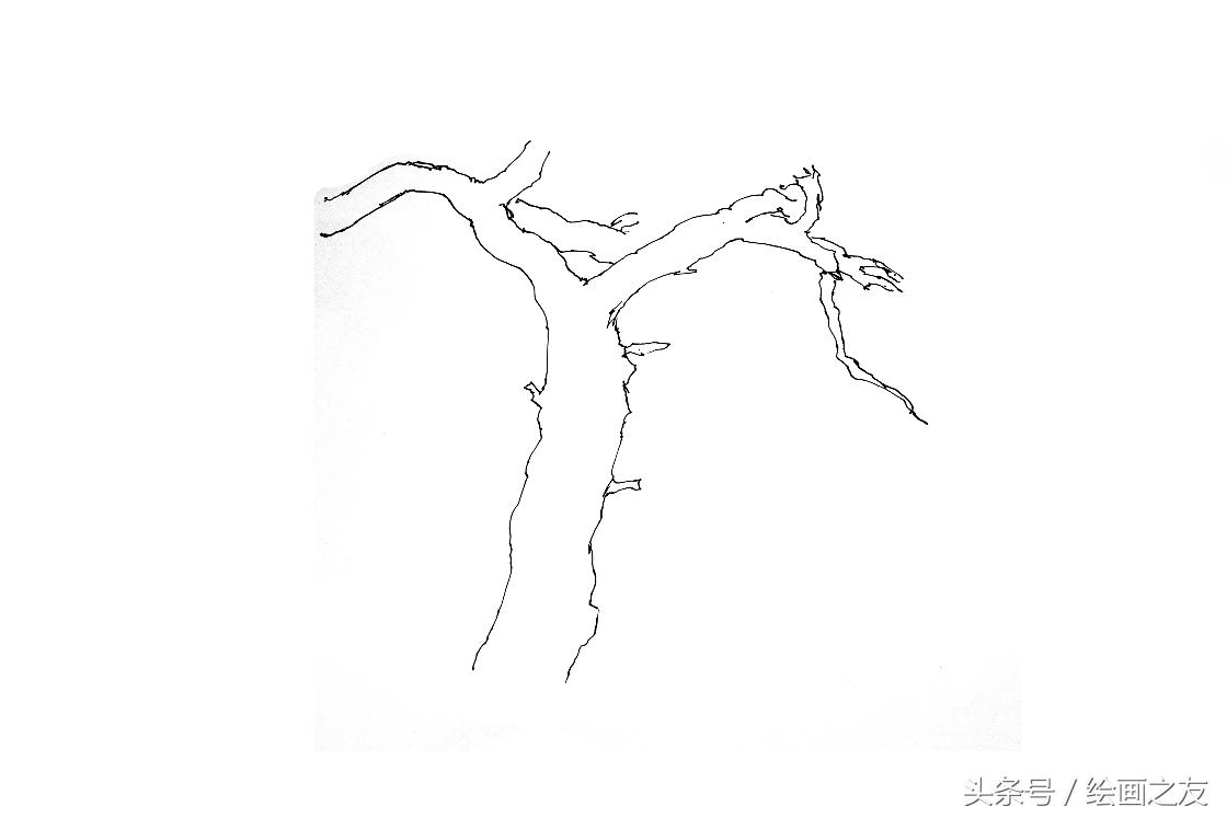 零基础画松树用毛笔画,松树怎么画简单教程