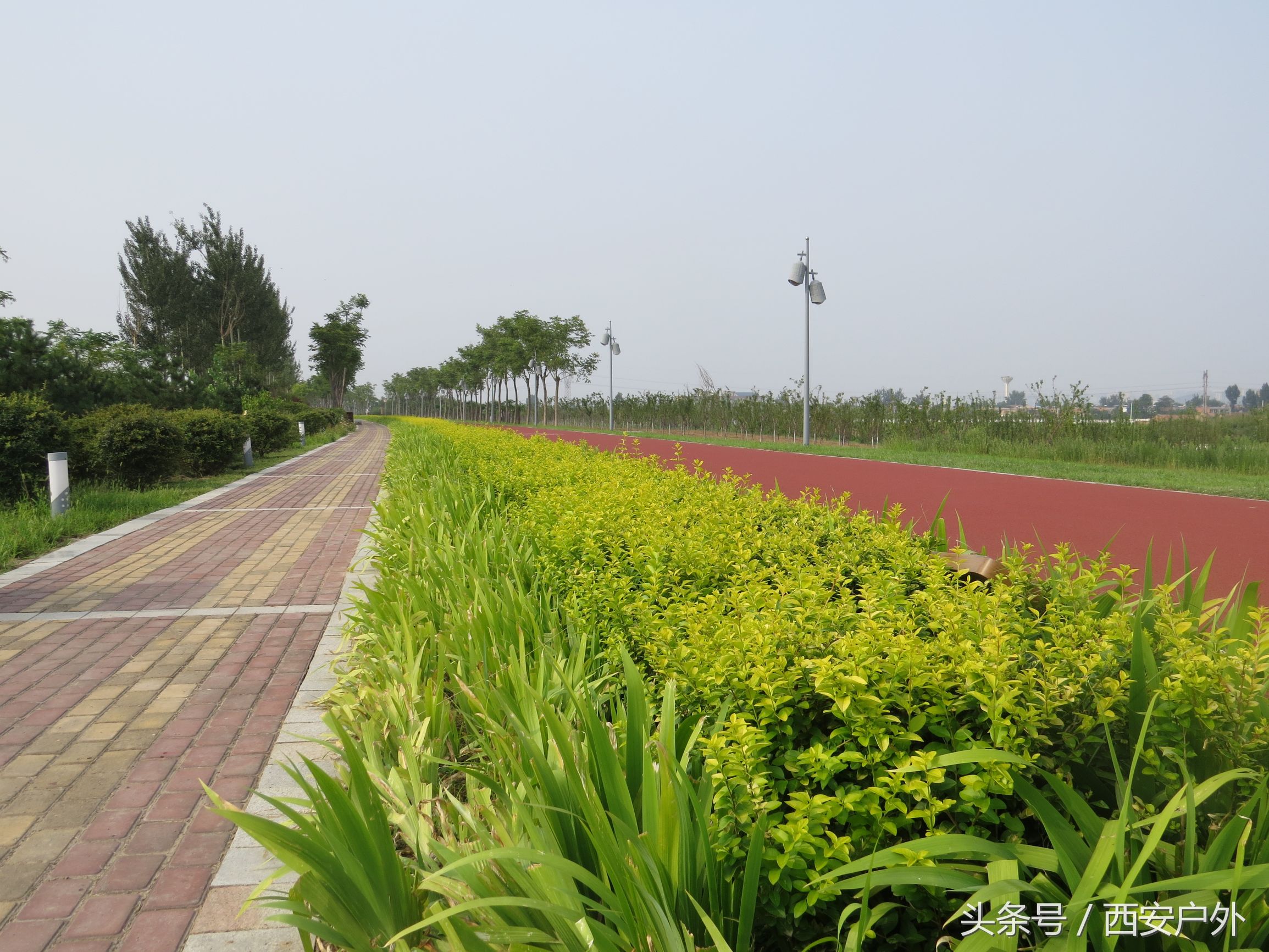 西安市区共享电动单车,西安共享单车骑行240分钟