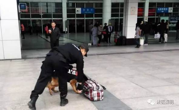 只有异性能闻到对方的“体香”，这是真的吗？