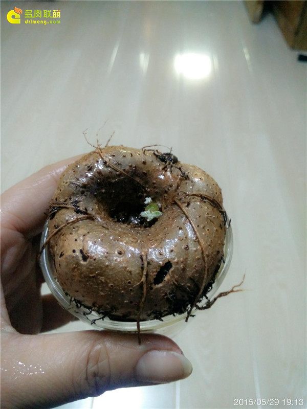 一个脚气患者的真实故事,关于癣有趣的故事