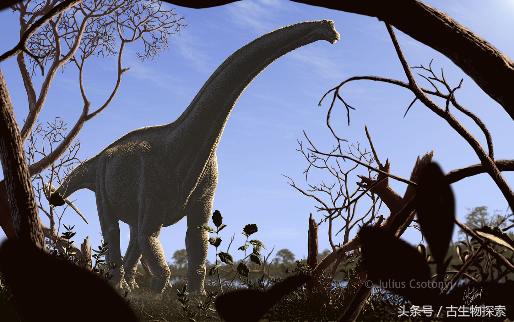 能源巨龙——富塔隆柯龙