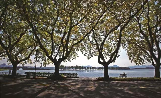 一天游西湖攻略,怎样游西湖十景