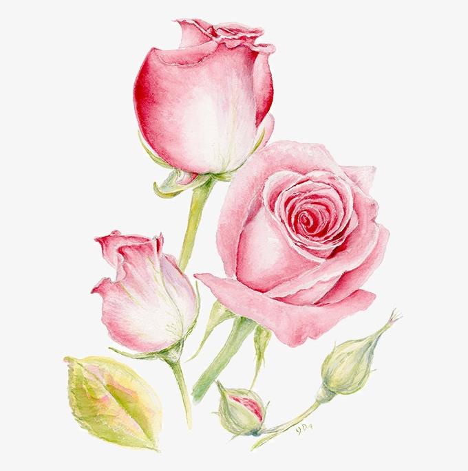 生肖蛇苦尽甘来财帛如雨富甲一方,生肖蛇未来10天喜事成双好运盈门