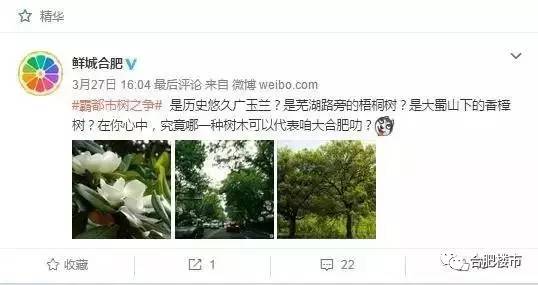 市树将被替换？！合肥现首个“公园体”商业，周末度假有去处了