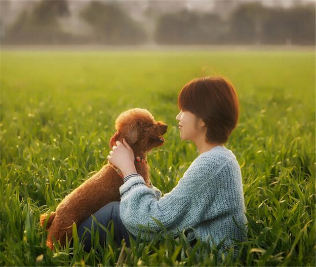 1982年7月10日出生生肖狗,2022年生肖狗1994年出生运势详解