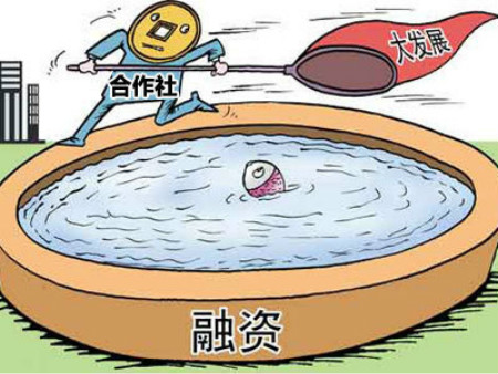 合作社执照哪个银行贷款,合作社有什么贷款产品