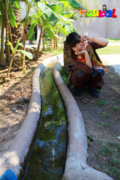 迪拜的旅行vlog,迪拜之旅vlog模板