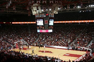 nba的球员知识大全,作为nba球迷需要了解什么知识