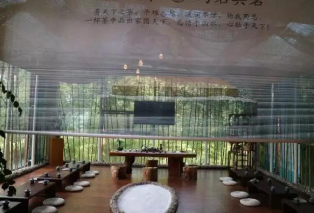 成都附近一小时氧吧,成都周边森林免费氧吧推荐