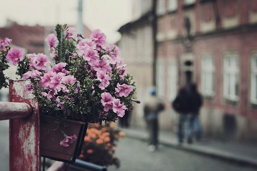 人生最曼妙的风景是淡定还是从容,人生最曼妙的风景竟是内心的淡定