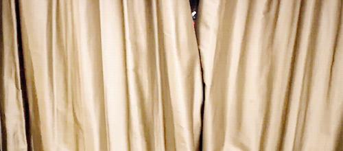 一波小怪兽还不够?今年KanI继续肆虐!