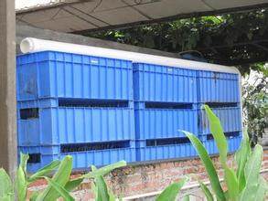 鱼池假山怎么做,假山鱼池怎么做视频