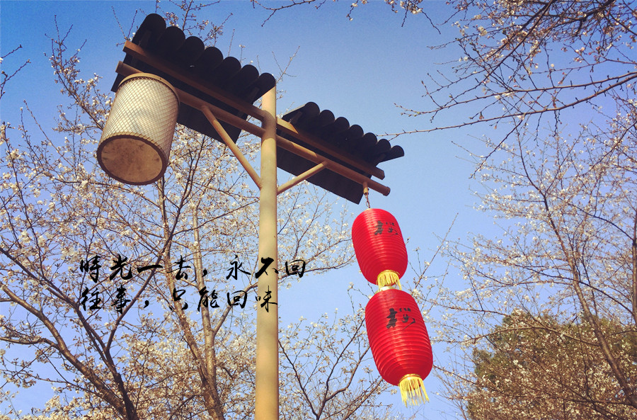 独自旅行要带哪些东西,独身一人去一场说走就走的旅行