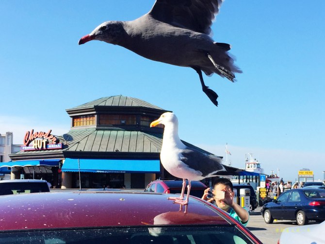 心在路上中文版,心在路上完整版教程