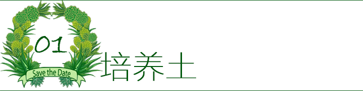 多肉植物如何防治病害,多肉植物病害处理视频