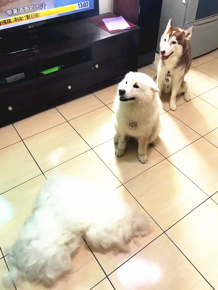 澶忓ぉ蹇埌浜嗗悧鍘熺増瑙嗛,澶忓ぉ蹇埌浜嗗ぉ姘斿張鐑簡