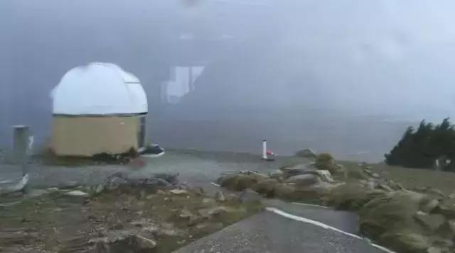 新西兰一家三口花费多少,一家五口自驾新西兰旅游