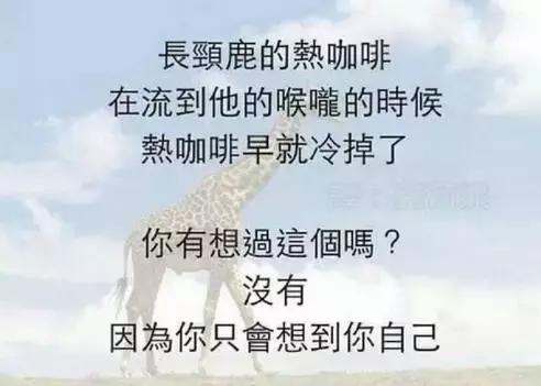 100个网络英语流行语,流行语英语学习方法