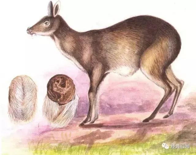 “大唐神药”又领衔滑胎路线，医生表示大写不服！